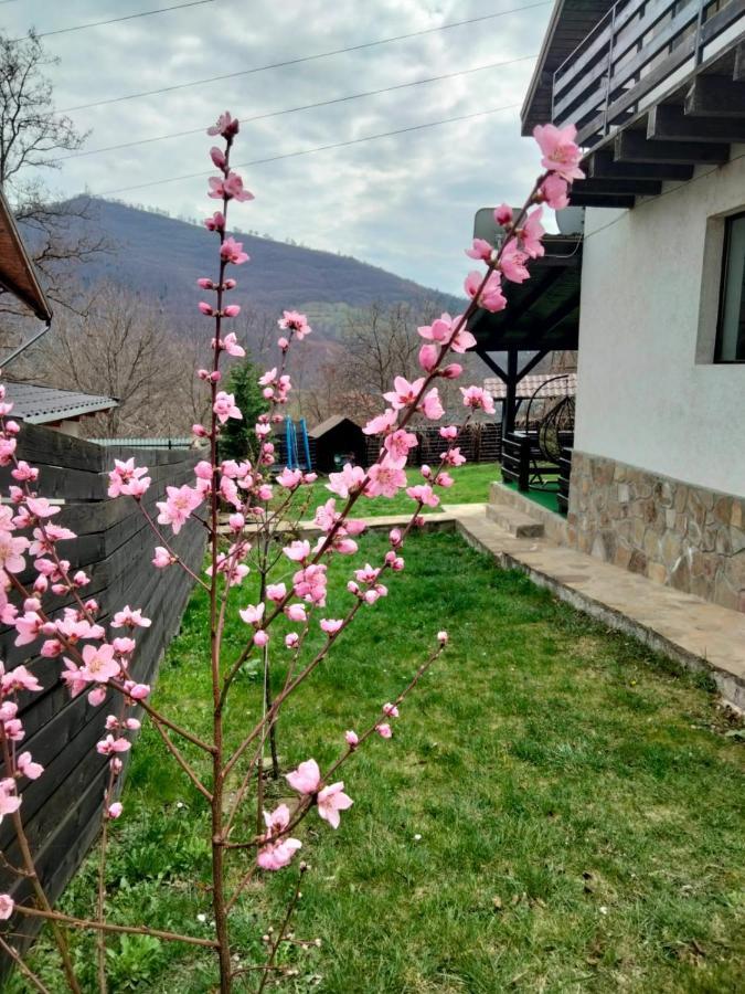Vila Roxana Pangarati Екстериор снимка